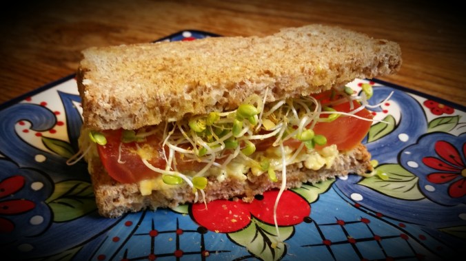 Half of an Avocado-Sprout Sandwich