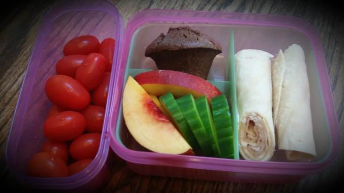 Turkey roll-up with fruit, veggies & flaxseed brownie