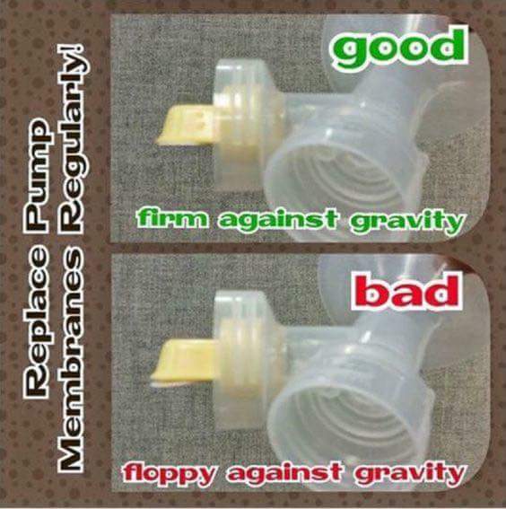 fb_img_1475143944517